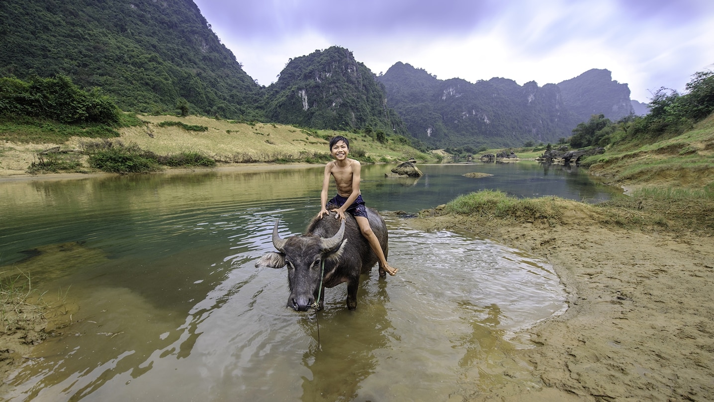 Most Vietnamese people live in the countryside, mainly in the river delta regions of the north and south.
